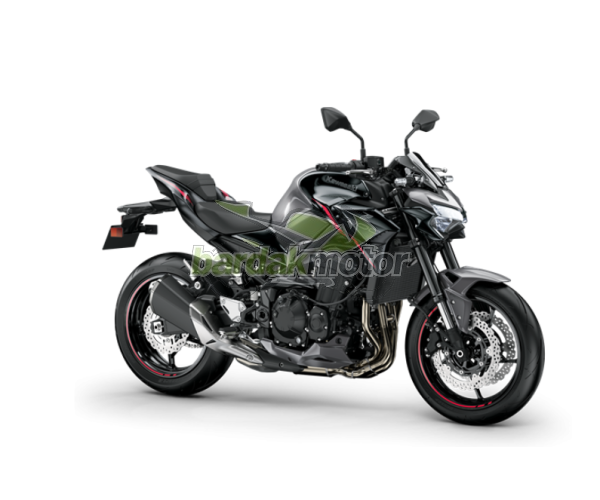 Kawasaki Z900 2023