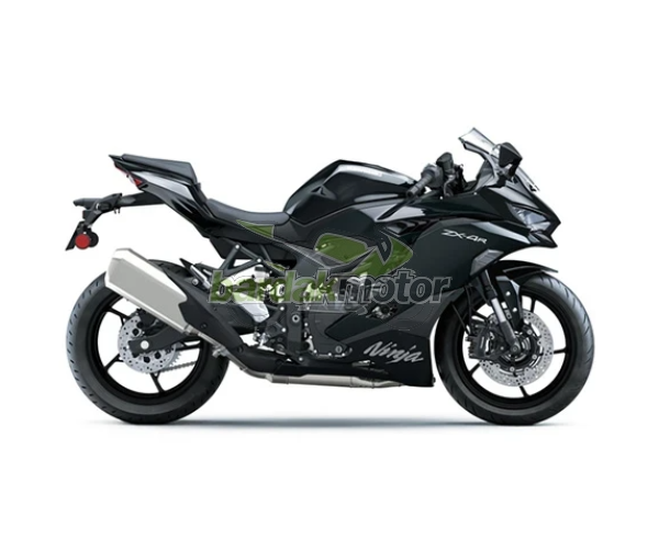 Kawasaki Ninja Zx-4r 2024