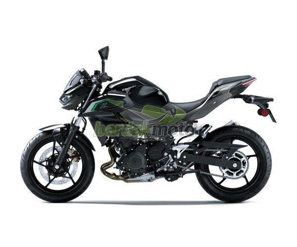 Kawasaki Z500 2025